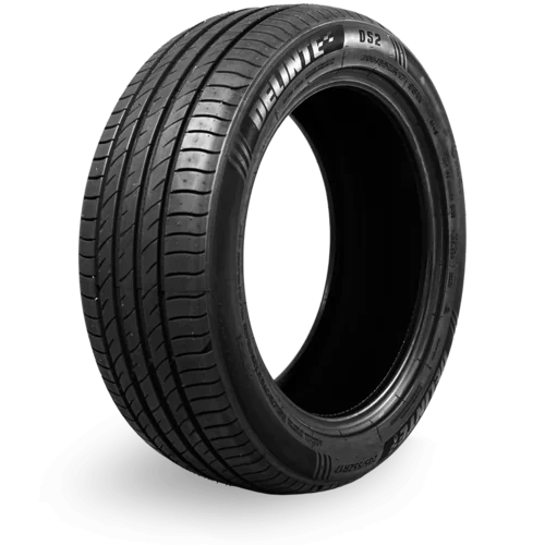 Delinte DS2 all-season performance tire, P205/50R17